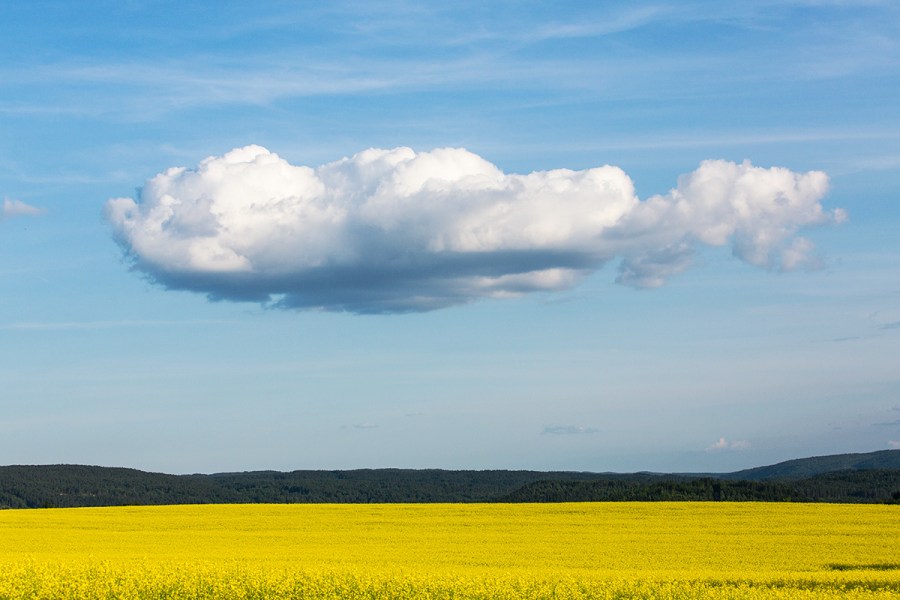 HPWilleFoto_130x80_Y6A7885-2w2