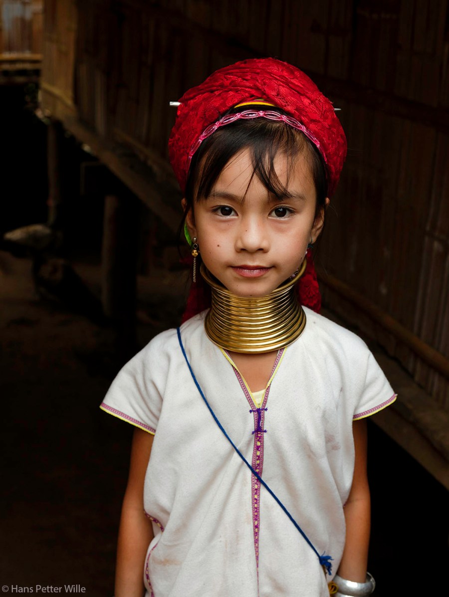 HPWilleFoto_MG_1045-3-fb